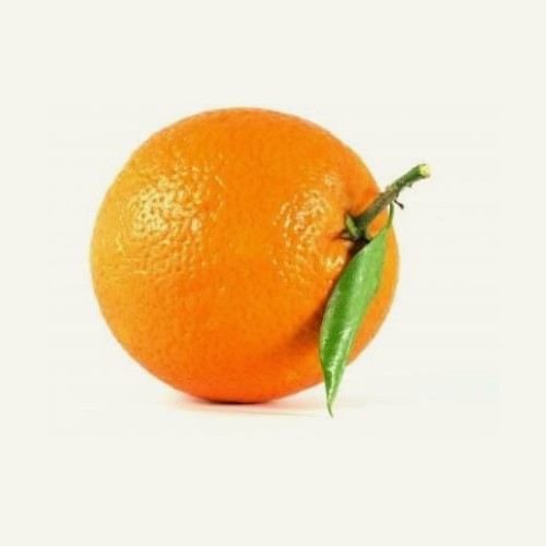 Laranja-hamlin