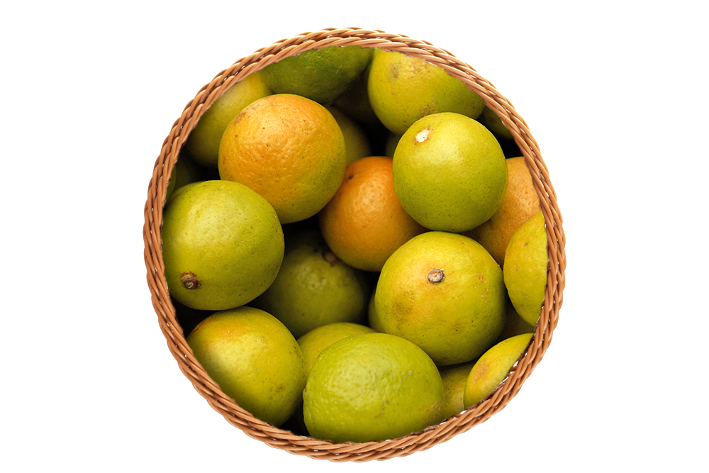 Laranja-pera